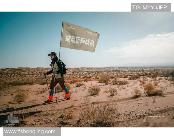 从伤病阴影到荣耀舞台揭示球星成长背后的坚韧与蜕变之路