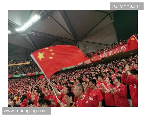 中国球迷组织成最大助威团，场面震撼