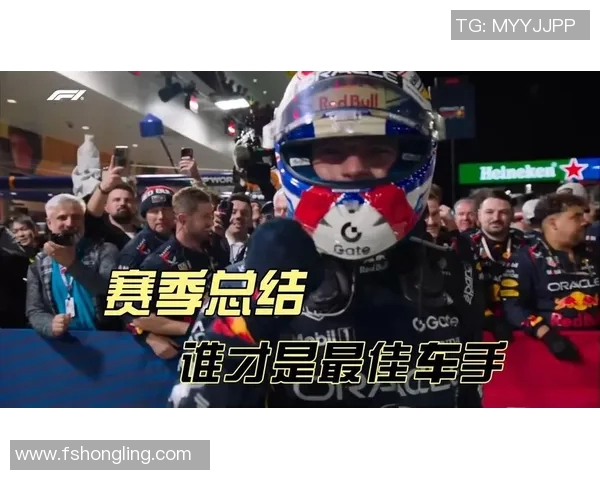 F1车手赛季表现及其背后团队支持
