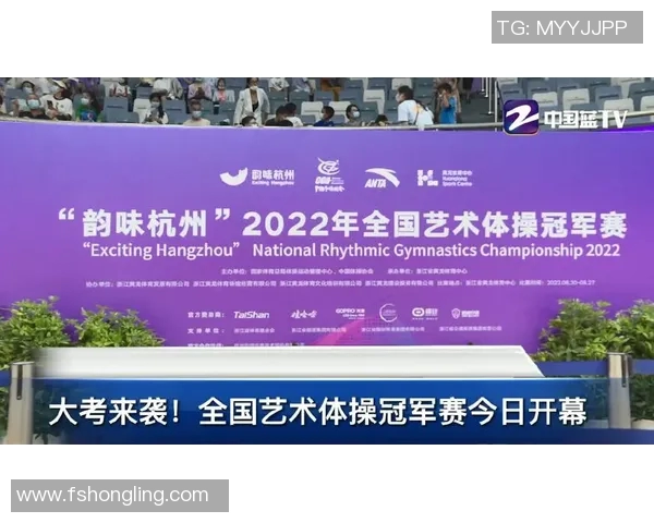 体育赛事票价调查分析及其对观众选择和市场需求的影响研究